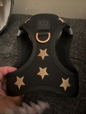 Soho dog hornets Black Harness with Gold Star Embroidery